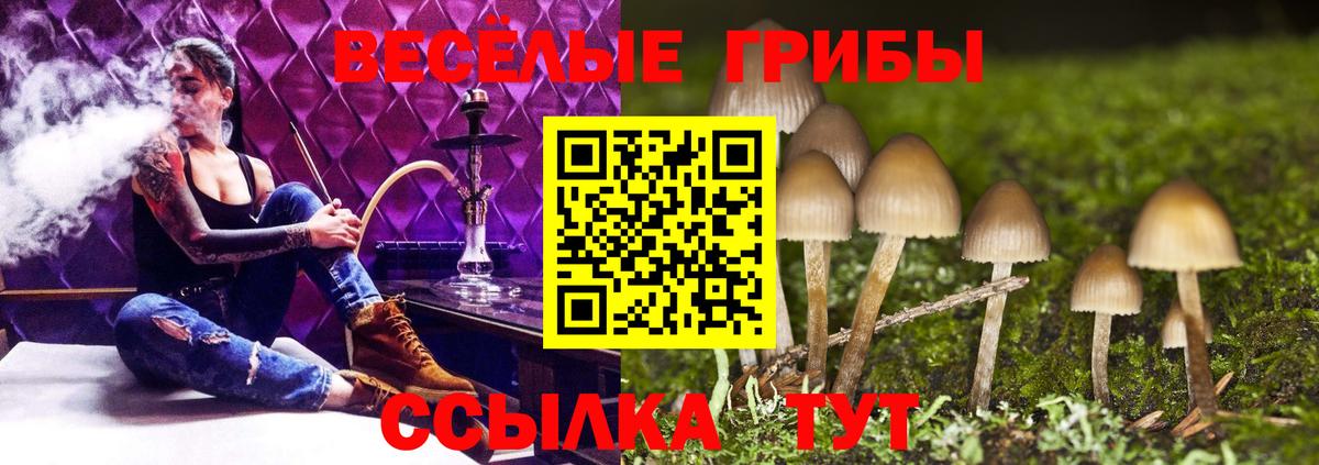 Галлюциногенные грибы MAGIC MUSHROOMS  Вход с VPN  Майский 