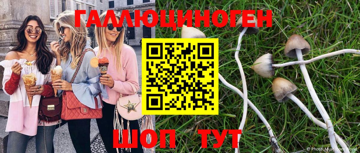 Псилоцибиновые грибы прущие грибы Майский